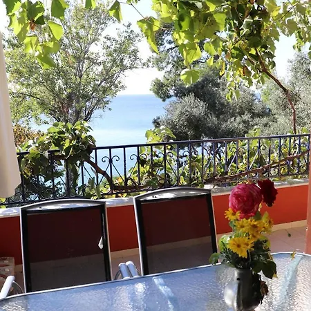 Seafront Grapevine Terrace Ελιά