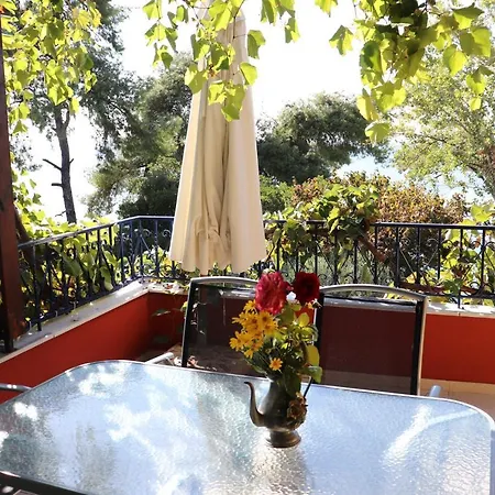 Seafront Grapevine Terrace Ελιά