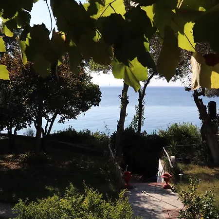 Seafront Grapevine Terrace Διαμέρισμα Ελιά