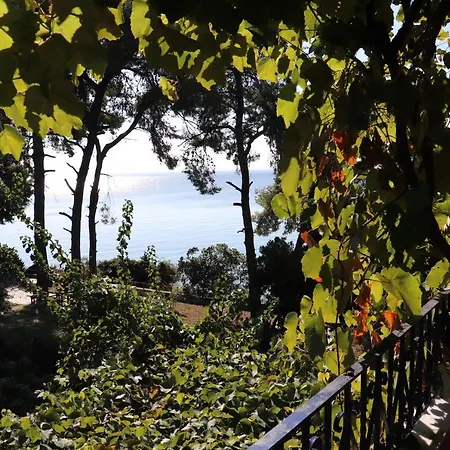 Apartamento Seafront Grapevine Terrace *