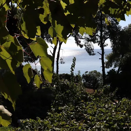 Seafront Grapevine Terrace Apartamento *